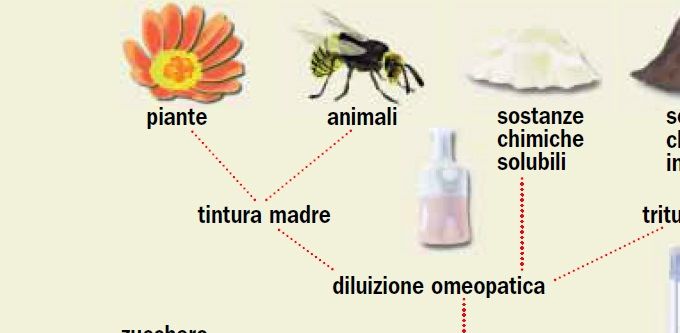 COME SI CREANO I RIMEDI OMEOPATICI