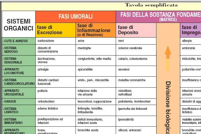 La Tavola delle 6 Fasi Omotosicologiche